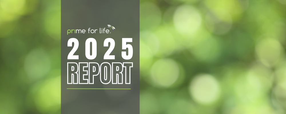 2025 Report Header