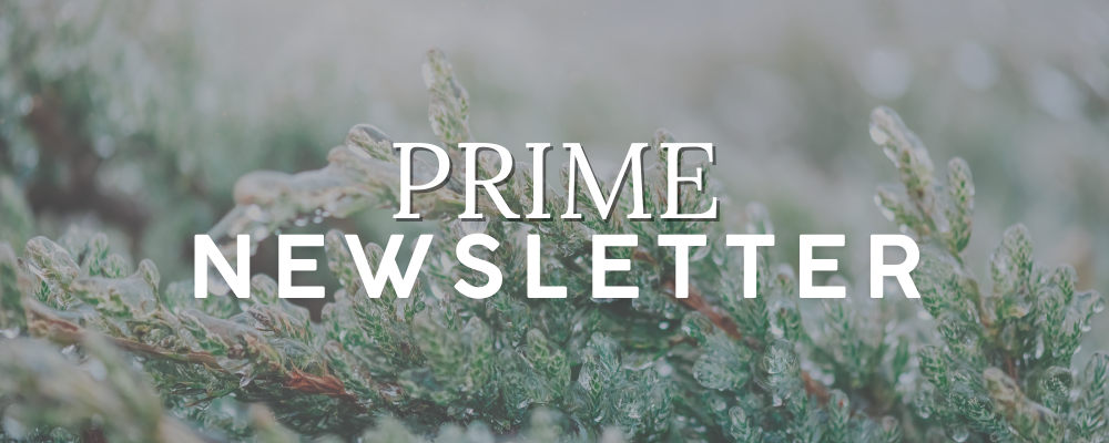 Prime Newsletter Header