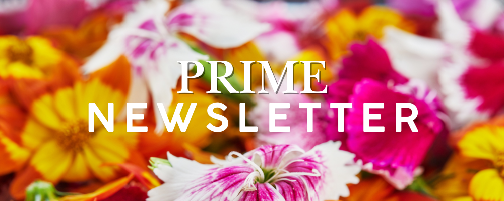 Prime Newsletter header